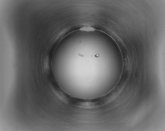 X0000113110212200909041252