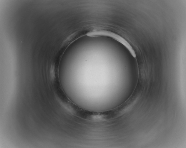 X0000113110216200909041252