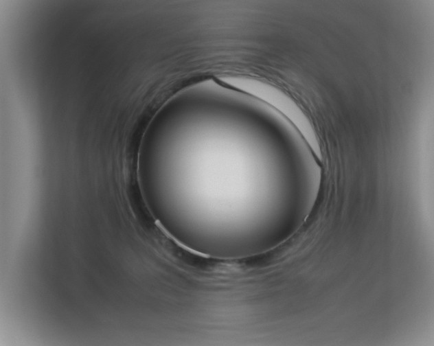 X0000113110227200909041252