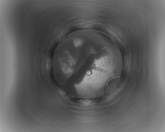 X0000113110230200909041252