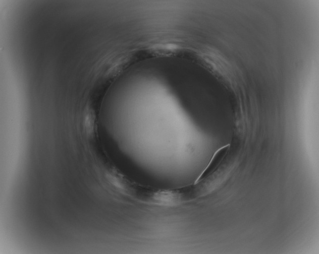 X0000113110231200909041252