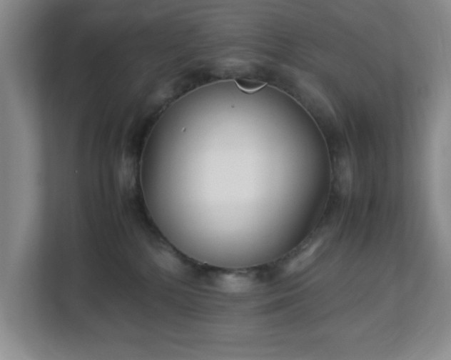 X0000113110232200909041252