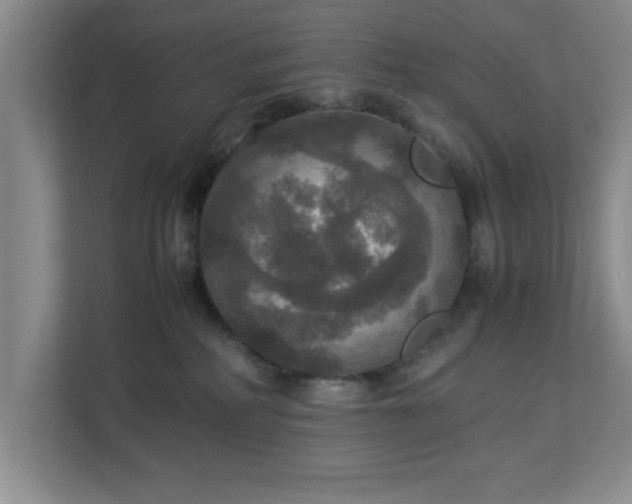 X0000113110234200909041252