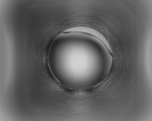 X0000113110235200909041252