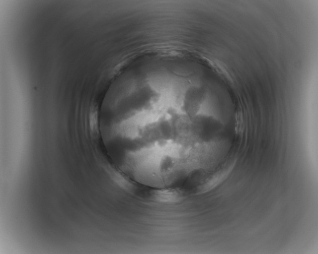 X0000113110238200909041252