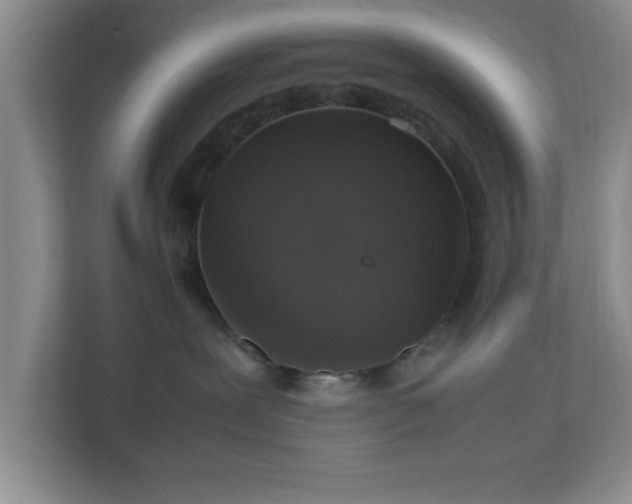 X0000113110239200909041252
