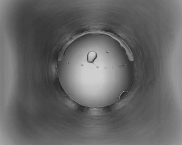 X0000113110240200909041252