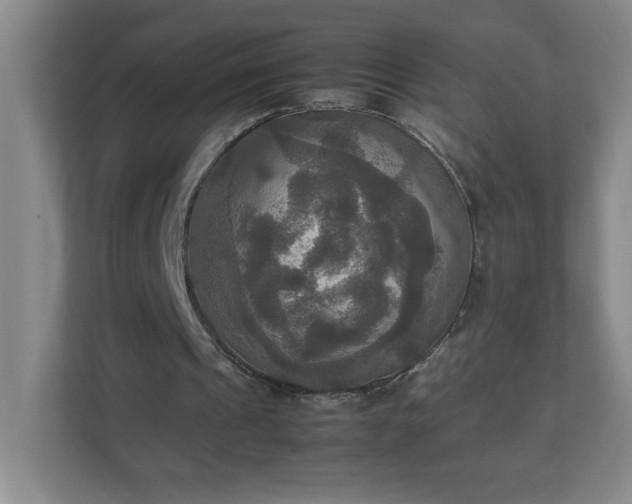 X0000113110241200909041251