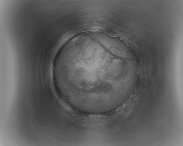 X0000113110242200909041251