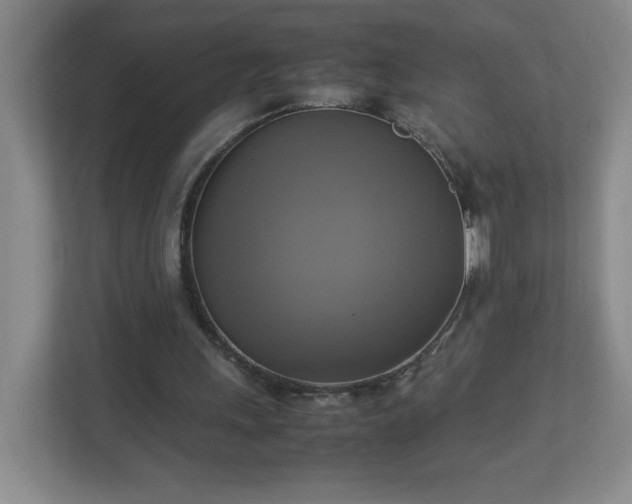 X0000113110243200909041251