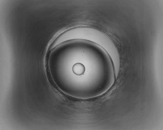 X0000113110244200909041251