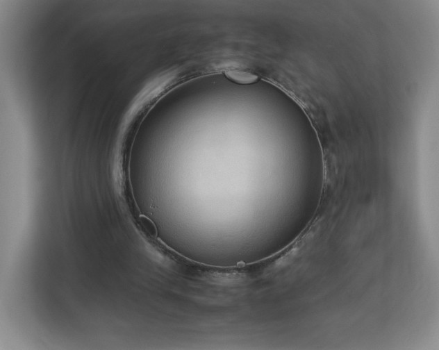 X0000113110245200909041251