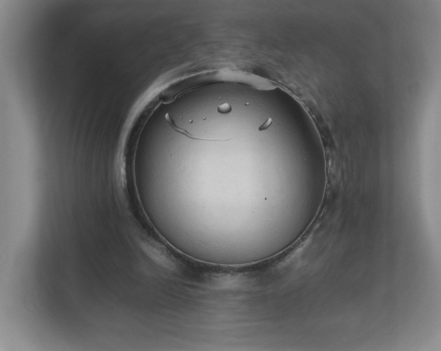 X0000113110246200909041251