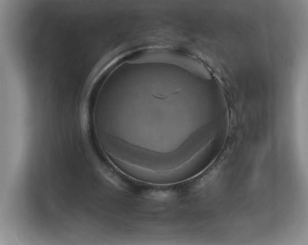 X0000113110247200909041251