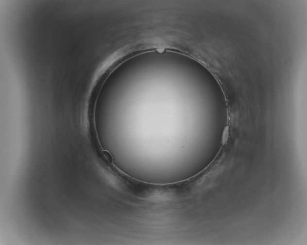 X0000113110248200909041251