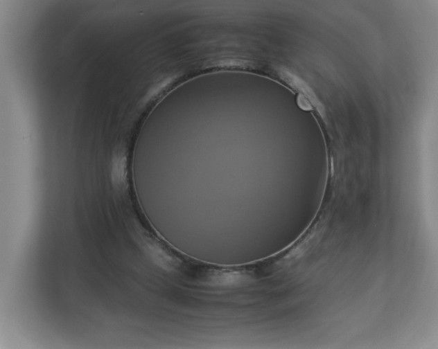 X0000113110249200909041252