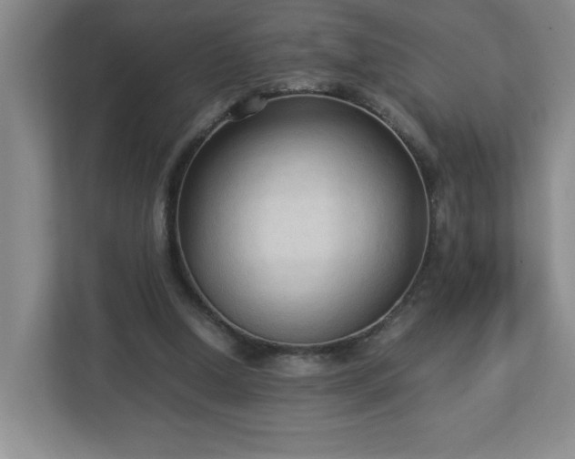 X0000113110250200909041252