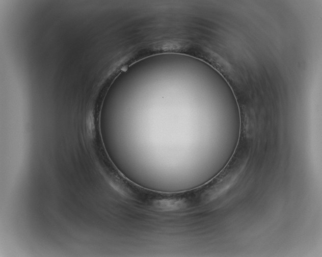 X0000113110251200909041252