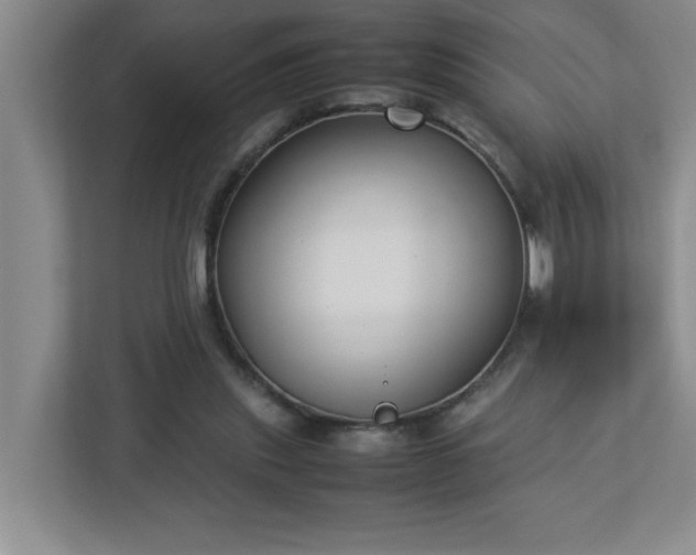 X0000113110253200909041252