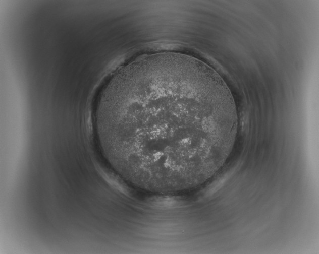 X0000113110254200909041252