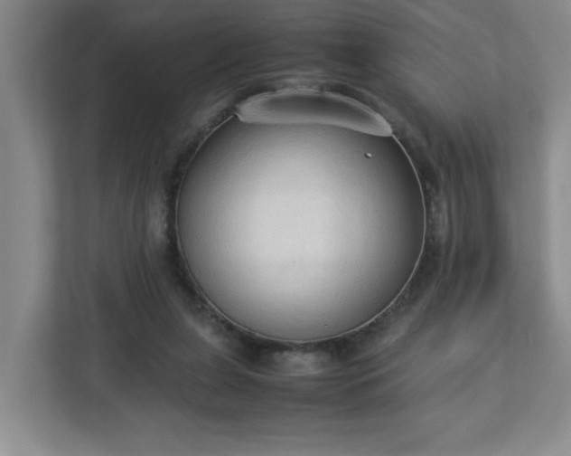 X0000113110255200909041252