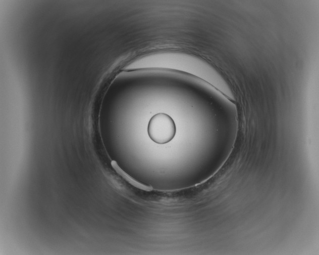 X0000113110256200909041252