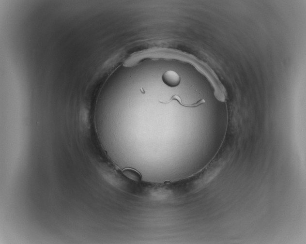 X0000113110258200909041252
