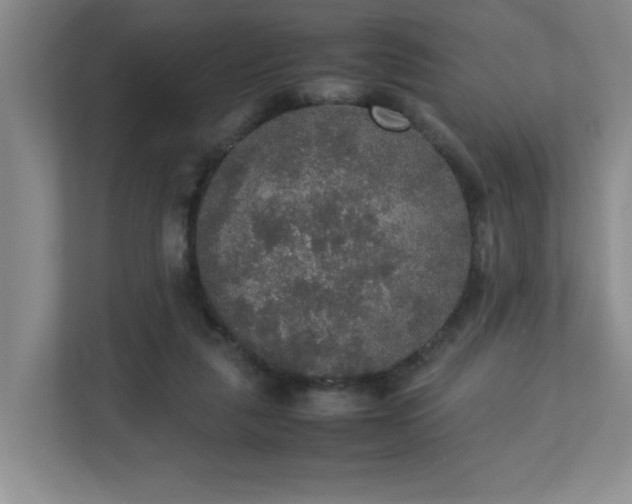 X0000113110259200909041252