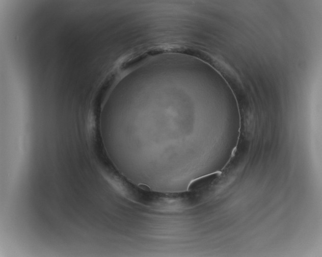 X0000113110260200909041252