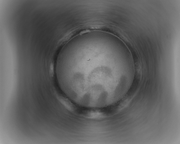 X0000113110262200909041252