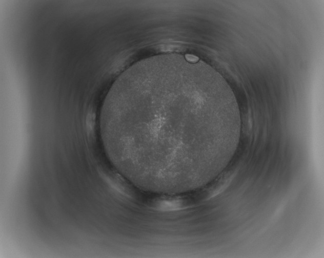 X0000113110263200909041252
