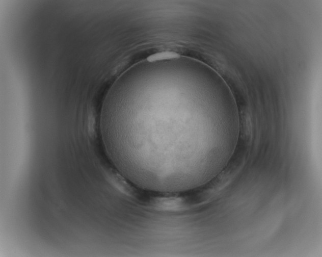X0000113110266200909041252