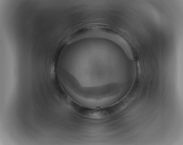 X0000113110267200909041252