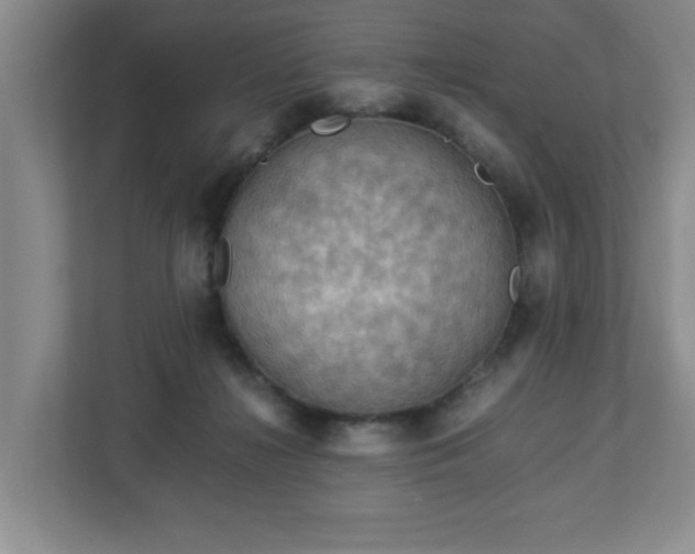 X0000113110268200909041252