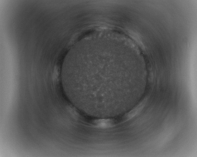 X0000113110273200909041252
