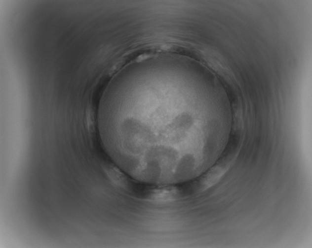 X0000113110274200909041252