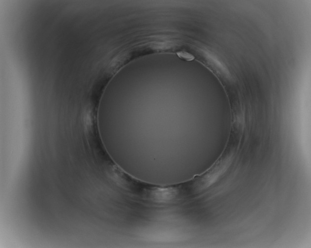 X0000113110277200909041252