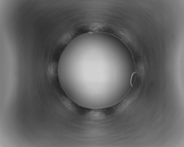 X0000113110280200909041252