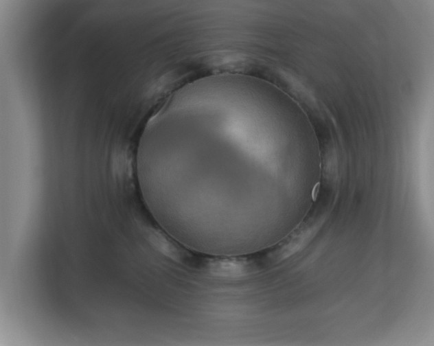 X0000113110282200909041252