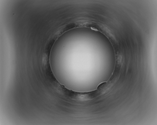 X0000113110283200909041252