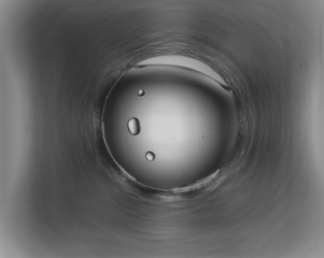 X0000113110284200909041252