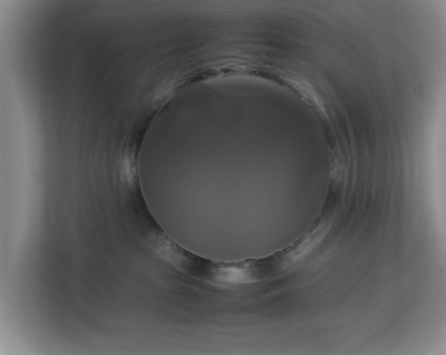 X0000113110285200909041252