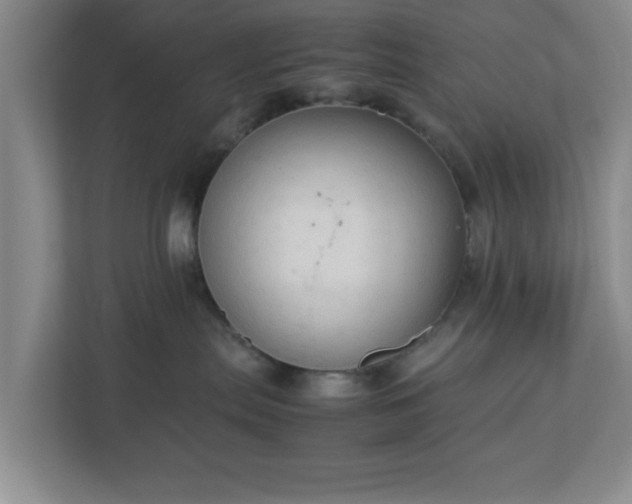 X0000113110287200909041252