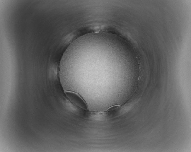 X0000113110288200909041252