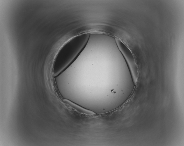 X0000113110289200909041251