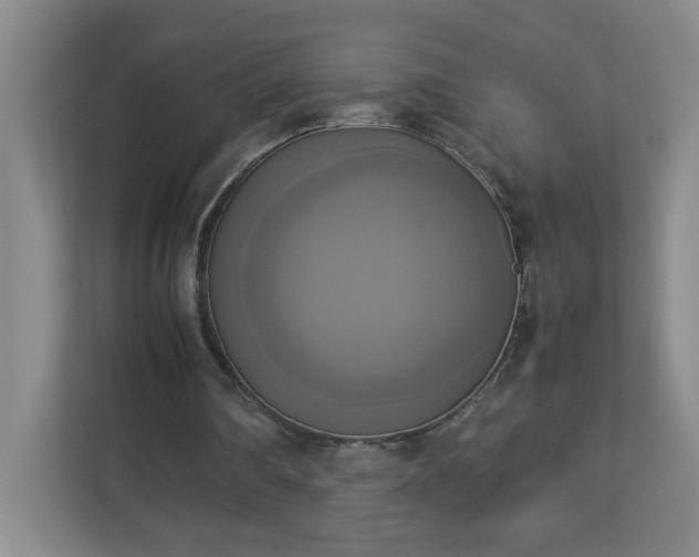 X0000113110290200909041251
