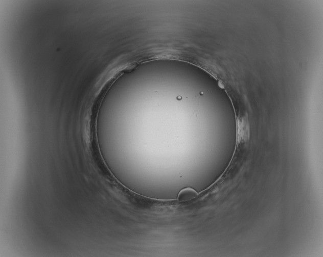 X0000113110291200909041251