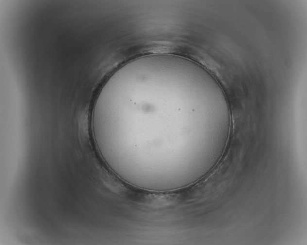 X0000113110297200909041251