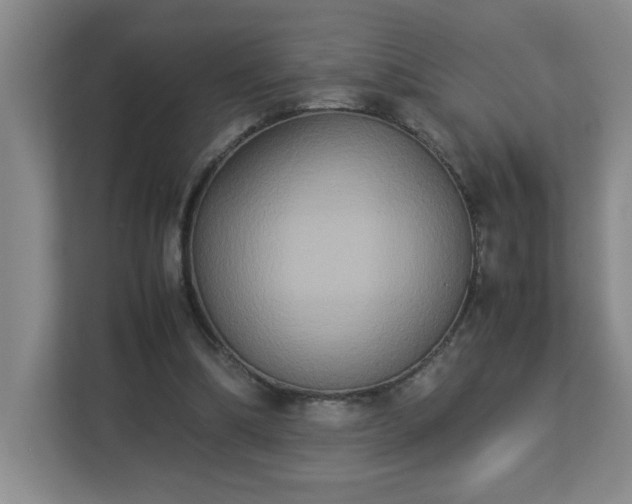 X0000113110298200909041251