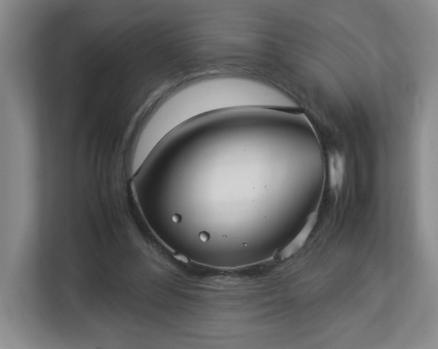 X0000113110300200909041251